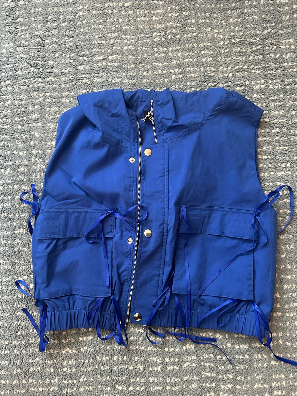 Funky and Sporty Cropped Blue Vest with Hood